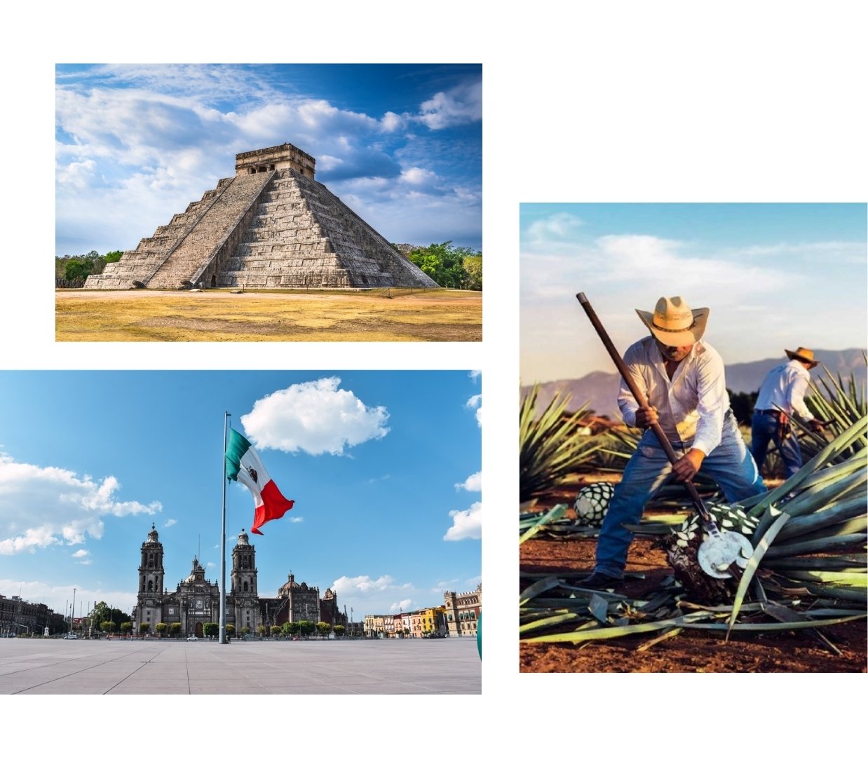 <慢调甄选 南美五国27日>巴西+阿根廷+智利+秘鲁+乌拉圭